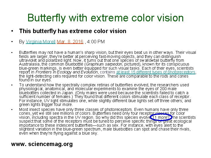 Butterfly with extreme color vision • This butterfly has extreme color vision • By