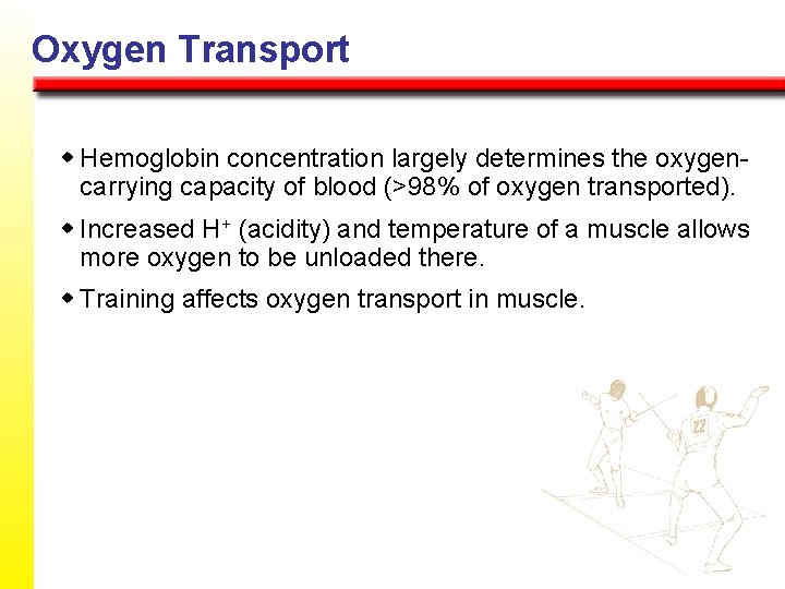 Oxygen Transport w Hemoglobin concentration largely determines the oxygencarrying capacity of blood (>98% of