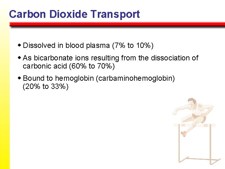 Carbon Dioxide Transport w Dissolved in blood plasma (7% to 10%) w As bicarbonate