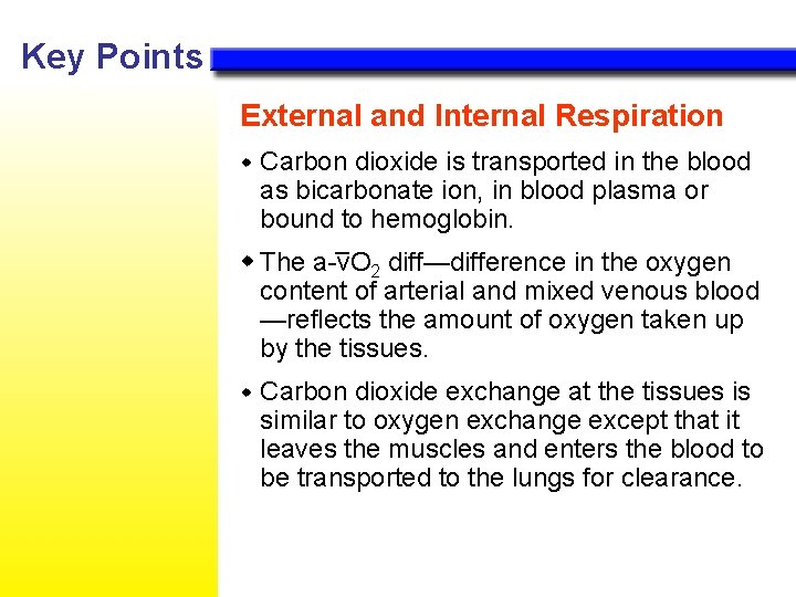 Key Points External and Internal Respiration Carbon dioxide is transported in the blood as