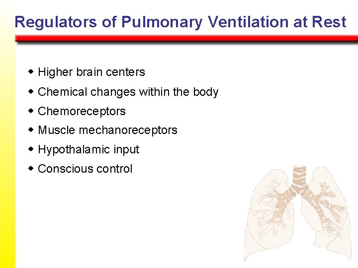 Regulators of Pulmonary Ventilation at Rest w Higher brain centers w Chemical changes within