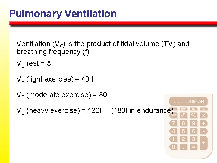 Pulmonary Ventilation (VE) is the product of tidal volume (TV) and breathing frequency (f):