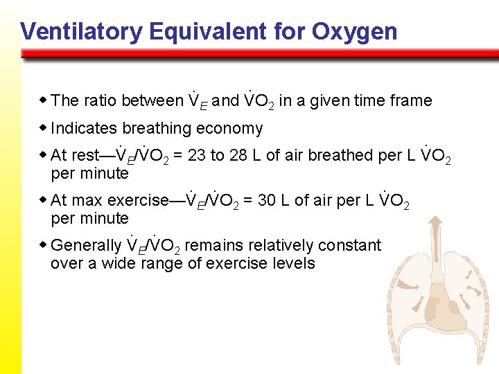 Ventilatory Equivalent for Oxygen. . w The ratio between VE and VO 2 in