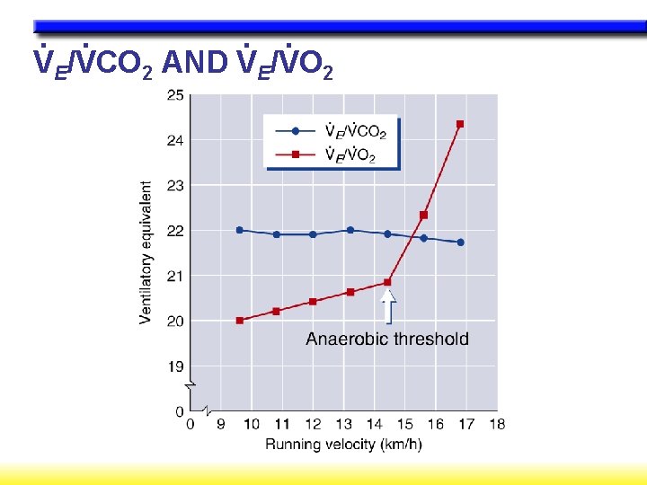 . . VE/VCO 2 AND VE/VO 2 