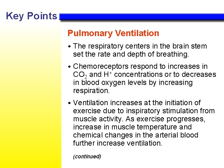 Key Points Pulmonary Ventilation w The respiratory centers in the brain stem set the