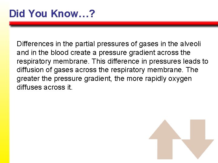 Did You Know…? Differences in the partial pressures of gases in the alveoli and