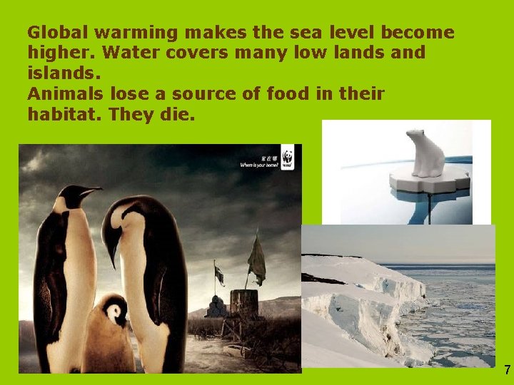 Global warming makes the sea level become higher. Water covers many low lands and