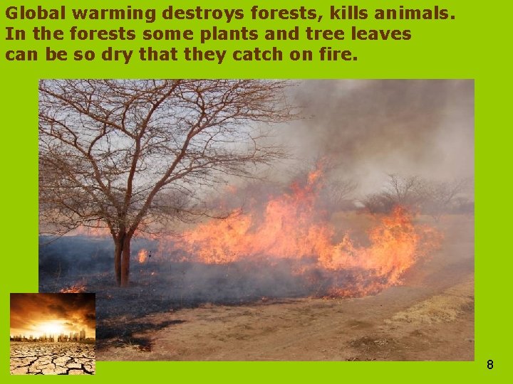 Global warming destroys forests, kills animals. In the forests some plants and tree leaves