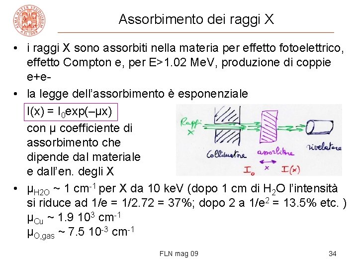 Assorbimento dei raggi X • i raggi X sono assorbiti nella materia per effetto