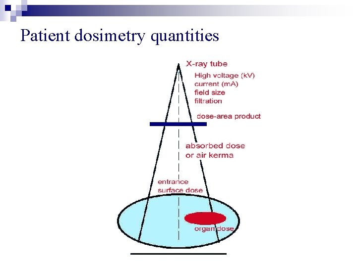 Patient dosimetry quantities 