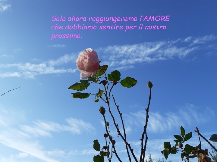 Solo allora raggiungeremo l’AMORE che dobbiamo sentire per il nostro prossimo. 