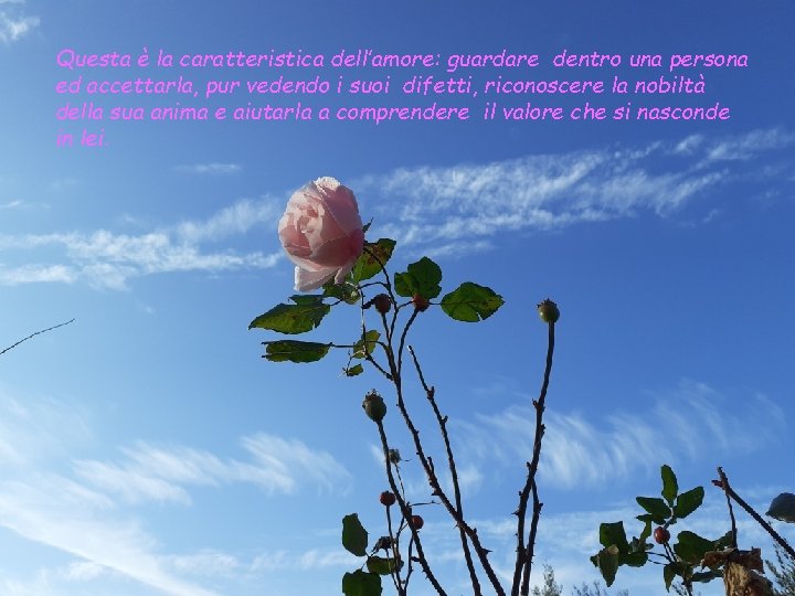 Questa è la caratteristica dell’amore: guardare dentro una persona ed accettarla, pur vedendo i