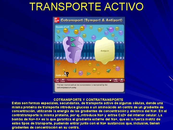 TRANSPORTE ACTIVO COTRANSPORTE Y CONTRATRANSPORTE Estas son formas especiales, secundarias, de transporte activo de