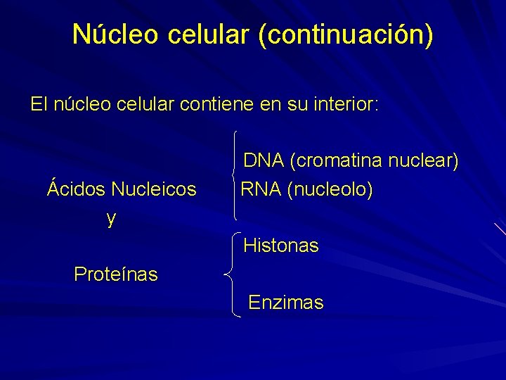 Núcleo celular (continuación) El núcleo celular contiene en su interior: Ácidos Nucleicos y DNA