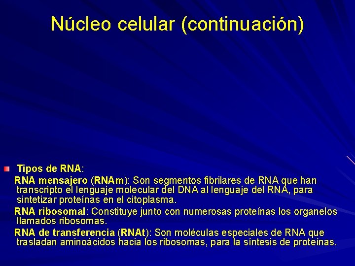 Núcleo celular (continuación) Tipos de RNA: RNA mensajero (RNAm): Son segmentos fibrilares de RNA