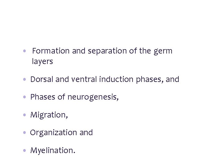  • Formation and separation of the germ layers • Dorsal and ventral induction