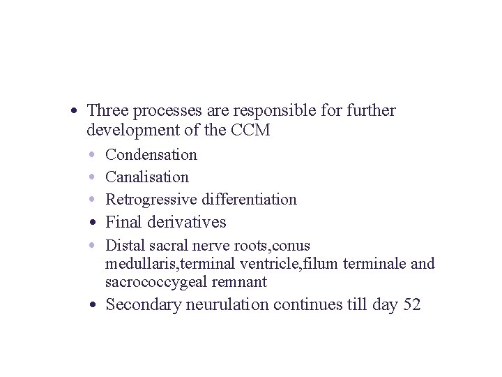  • Three processes are responsible for further development of the CCM • Condensation