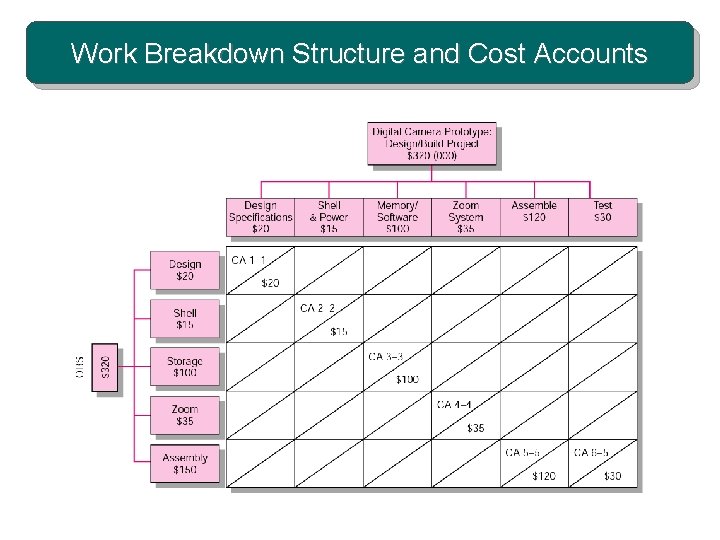 Work Breakdown Structure and Cost Accounts 