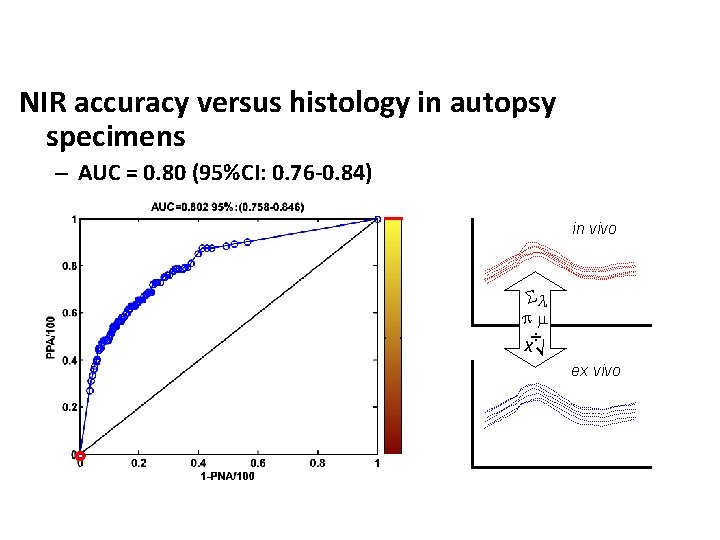 NIR accuracy versus histology in autopsy specimens – AUC = 0. 80 (95%CI: 0.