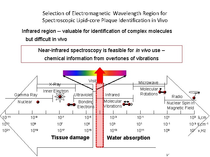 Selection of Electromagnetic Wavelength Region for Spectroscopic Lipid-core Plaque Identification in Vivo Infrared region
