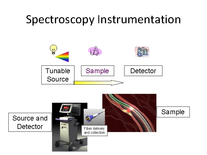 Spectroscopy Instrumentation Tunable Source and Detector Sample Fiber delivery and collection 