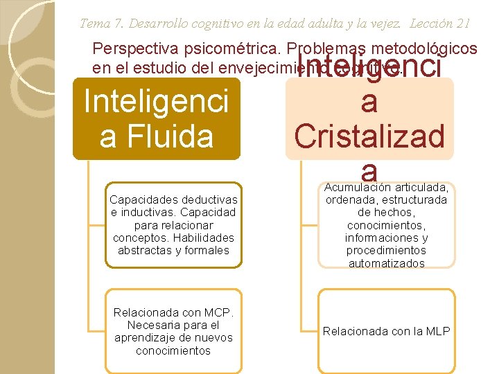 Tema 7. Desarrollo cognitivo en la edad adulta y la vejez. Lección 21 Perspectiva