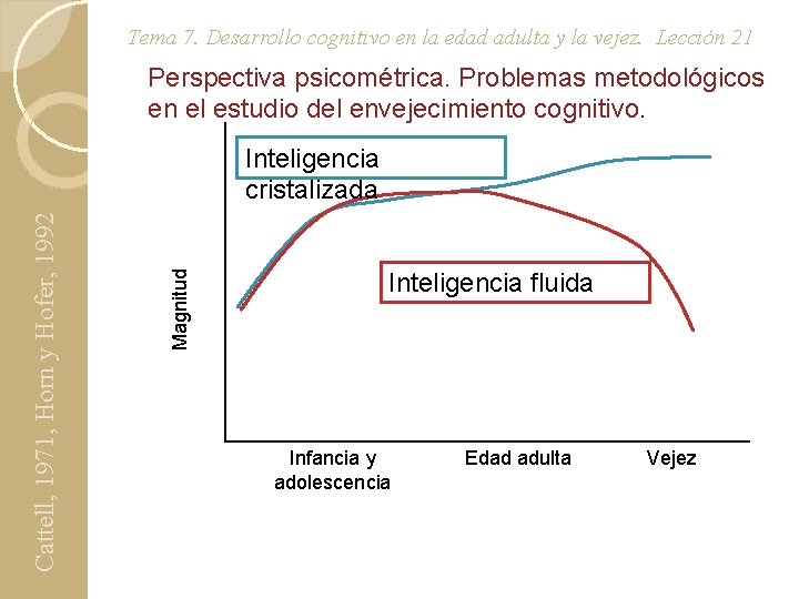 Tema 7. Desarrollo cognitivo en la edad adulta y la vejez. Lección 21 Perspectiva