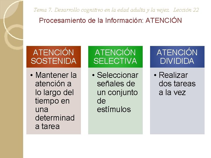 Tema 7. Desarrollo cognitivo en la edad adulta y la vejez. Lección 22 Procesamiento