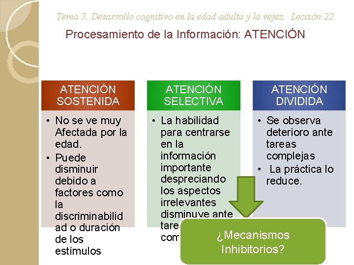 Tema 7. Desarrollo cognitivo en la edad adulta y la vejez. Lección 22 Procesamiento