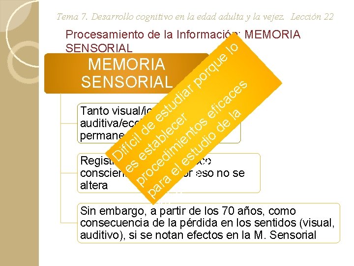 Tema 7. Desarrollo cognitivo en la edad adulta y la vejez. Lección 22 Procesamiento