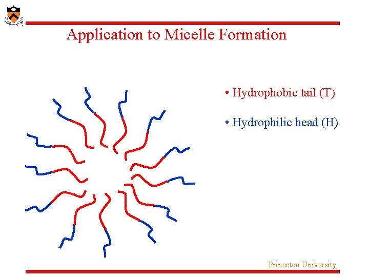 Application to Micelle Formation • Hydrophobic tail (T) • Hydrophilic head (H) Princeton University Application to Micelle Formation • Hydrophobic tail (T) • Hydrophilic head (H) Princeton University