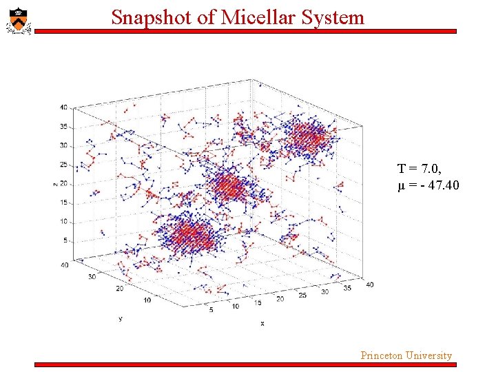 Snapshot of Micellar System T = 7. 0, µ = - 47. 40 Princeton Snapshot of Micellar System T = 7. 0, µ = - 47. 40 Princeton