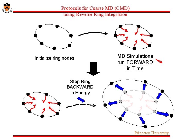 Protocols for Coarse MD (CMD) using Reverse Ring Integration Initialize ring nodes MD Simulations Protocols for Coarse MD (CMD) using Reverse Ring Integration Initialize ring nodes MD Simulations