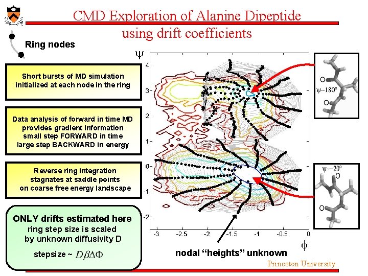 CMD Exploration of Alanine Dipeptide using drift coefficients Ring nodes Short bursts of MD CMD Exploration of Alanine Dipeptide using drift coefficients Ring nodes Short bursts of MD