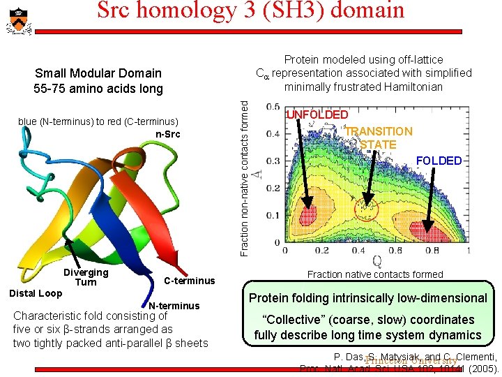 Src homology 3 (SH 3) domain Protein modeled using off-lattice C representation associated with Src homology 3 (SH 3) domain Protein modeled using off-lattice C representation associated with