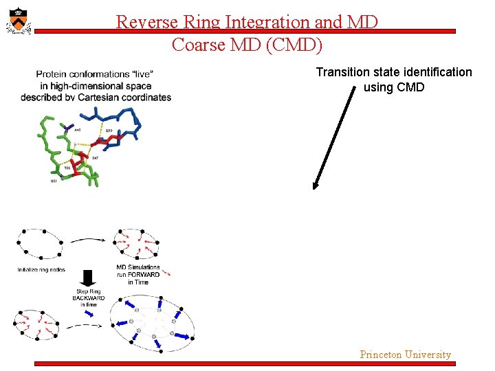 Reverse Ring Integration and MD Coarse MD (CMD) Transition state identification using CMD Princeton Reverse Ring Integration and MD Coarse MD (CMD) Transition state identification using CMD Princeton