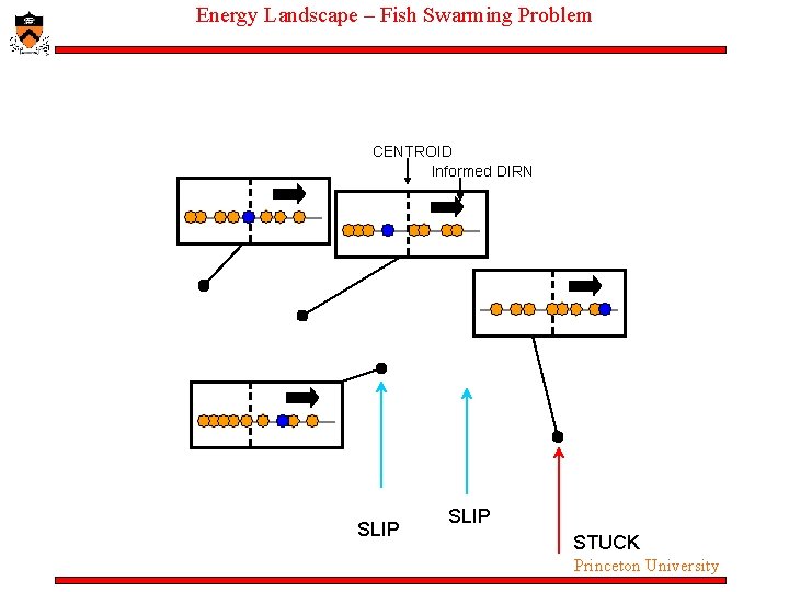 Energy Landscape – Fish Swarming Problem CENTROID Informed DIRN SLIP STUCK Princeton University Energy Landscape – Fish Swarming Problem CENTROID Informed DIRN SLIP STUCK Princeton University