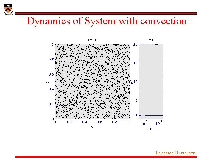 Dynamics of System with convection Princeton University Dynamics of System with convection Princeton University