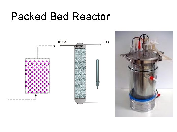 Packed Bed Reactor 