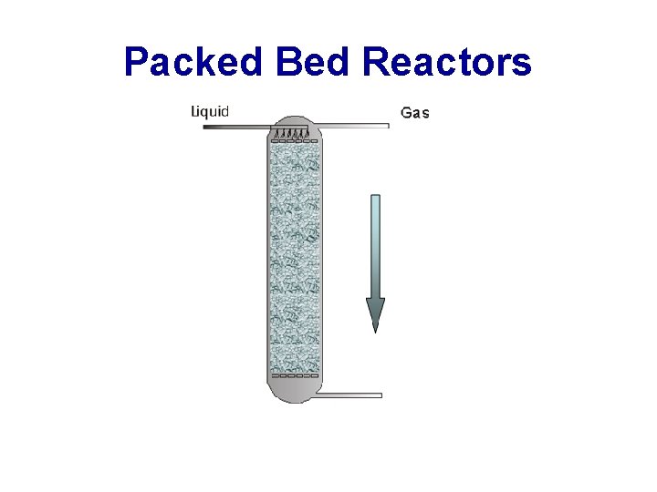 Packed Bed Reactors 