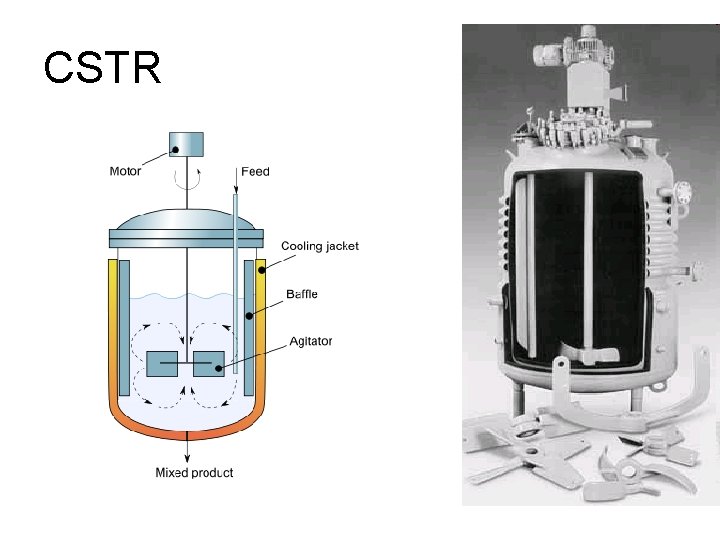 CSTR 