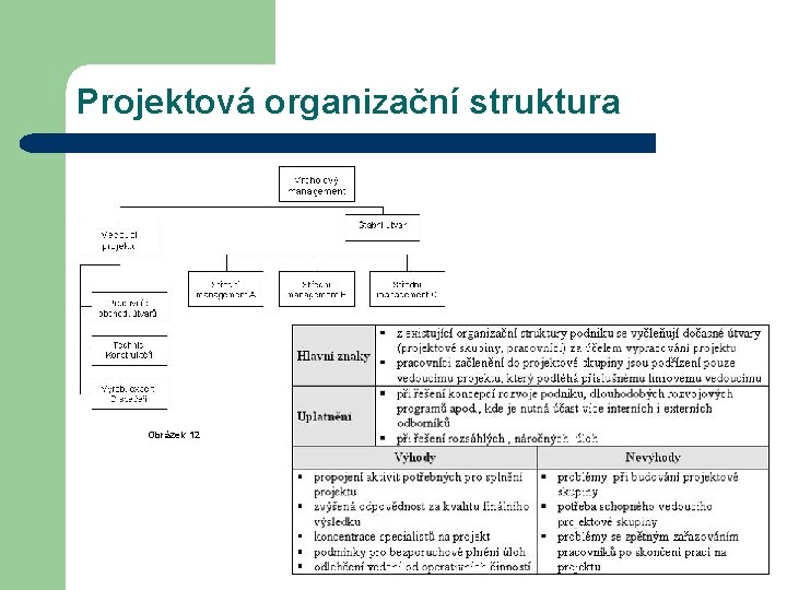 Projektová organizační struktura Obrázek 12 