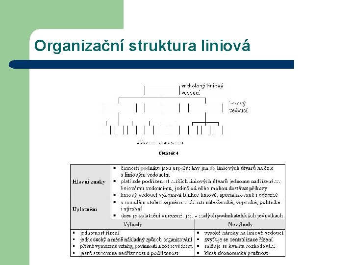 Organizační struktura liniová Obrázek 4 