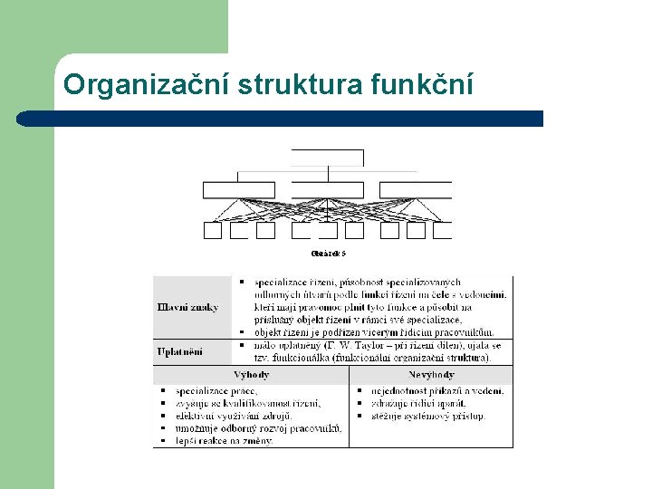 Organizační struktura funkční Obrázek 5 