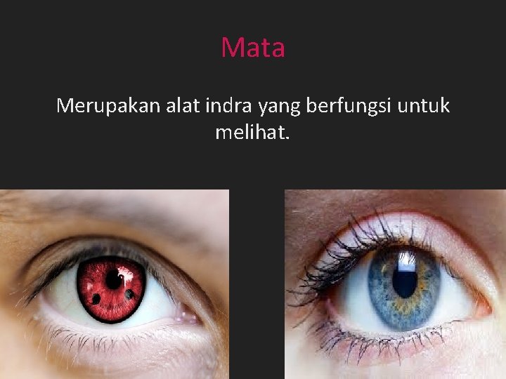 Mata Merupakan alat indra yang berfungsi untuk melihat. Mata Merupakan alat indra yang berfungsi untuk melihat.