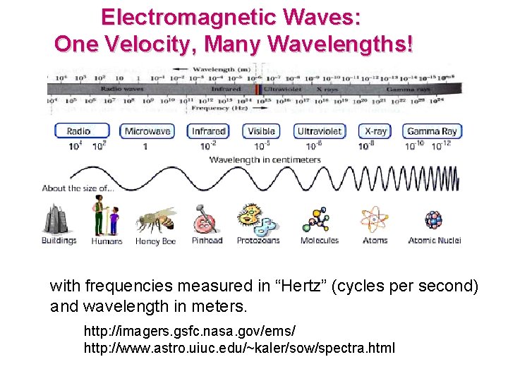 Electromagnetic Waves: One Velocity, Many Wavelengths! with frequencies measured in “Hertz” (cycles per second) Electromagnetic Waves: One Velocity, Many Wavelengths! with frequencies measured in “Hertz” (cycles per second)