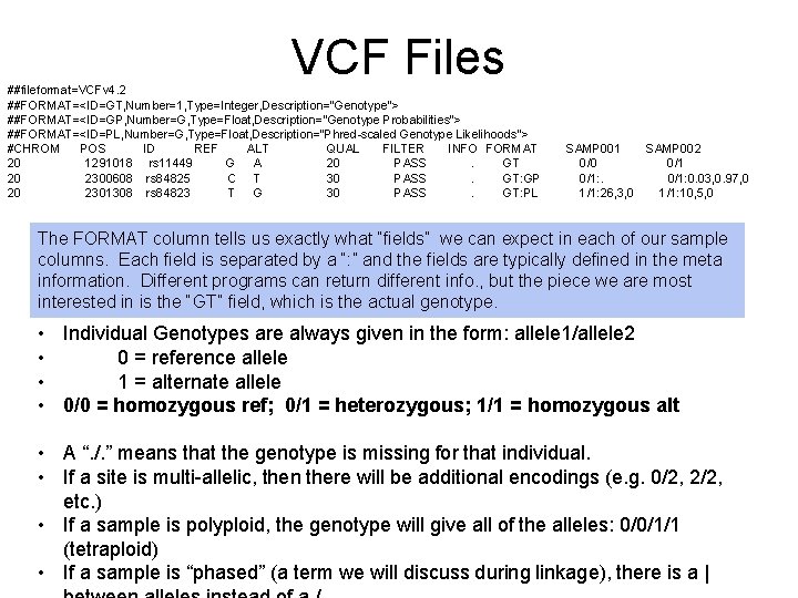 VCF Files ##fileformat=VCFv 4. 2 ##FORMAT=<ID=GT, Number=1, Type=Integer, Description="Genotype"> ##FORMAT=<ID=GP, Number=G, Type=Float, Description="Genotype Probabilities">