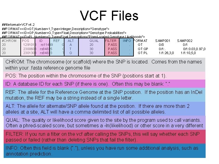 VCF Files ##fileformat=VCFv 4. 2 ##FORMAT=<ID=GT, Number=1, Type=Integer, Description="Genotype"> ##FORMAT=<ID=GP, Number=G, Type=Float, Description="Genotype Probabilities">