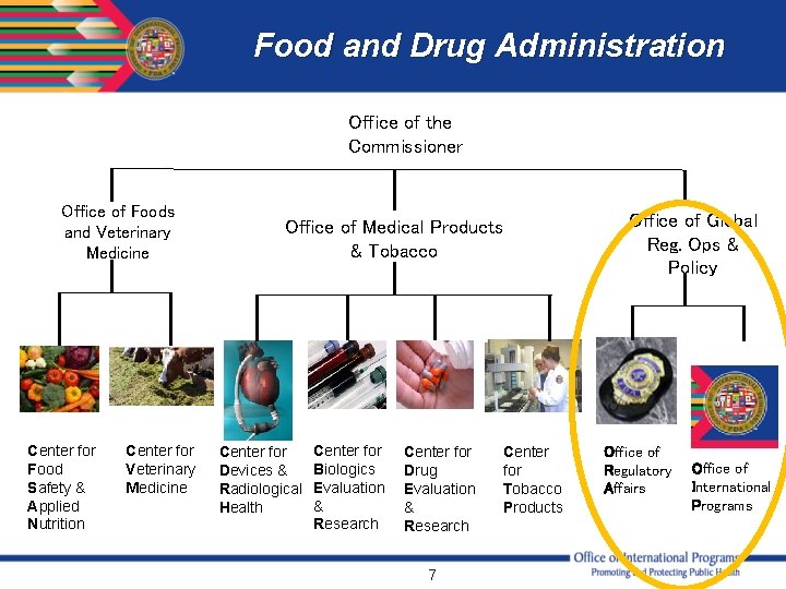 Food and Drug Administration Office of the Commissioner Office of Foods and Veterinary Medicine