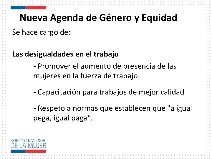 Nueva Agenda de Género y Equidad Se hace cargo de: Las desigualdades en el